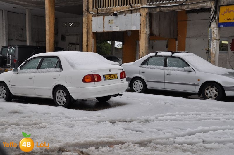 iceman lud 1213 (79).JPG